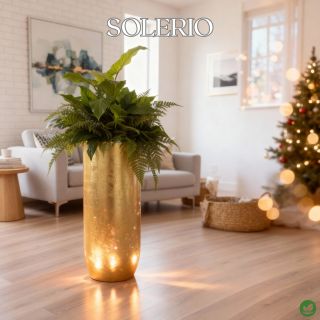 Luxusní květináče ve zlaté barvě https://www.eshop-kvetinace.cz/luxusni-kvetinace/ Vánoční atmosféra s designovými...