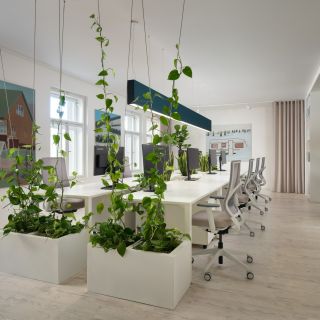 🌿Realizace kanceláře Idealab, ✨Dělící květináče ELEMENTO působí esteticky a inspirativně. Základem realizace jsou...